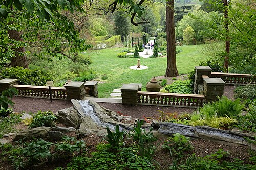 Morris Arboretum